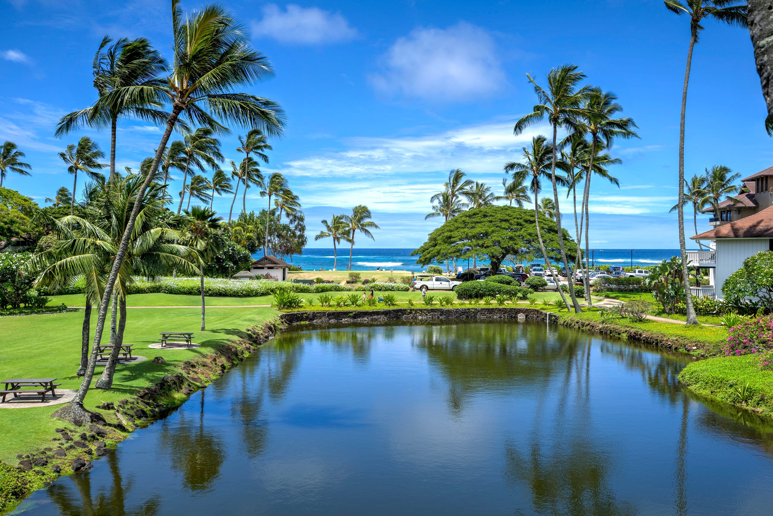 Tropical Paradise, Ocean views, Kiahuna - Photo 53