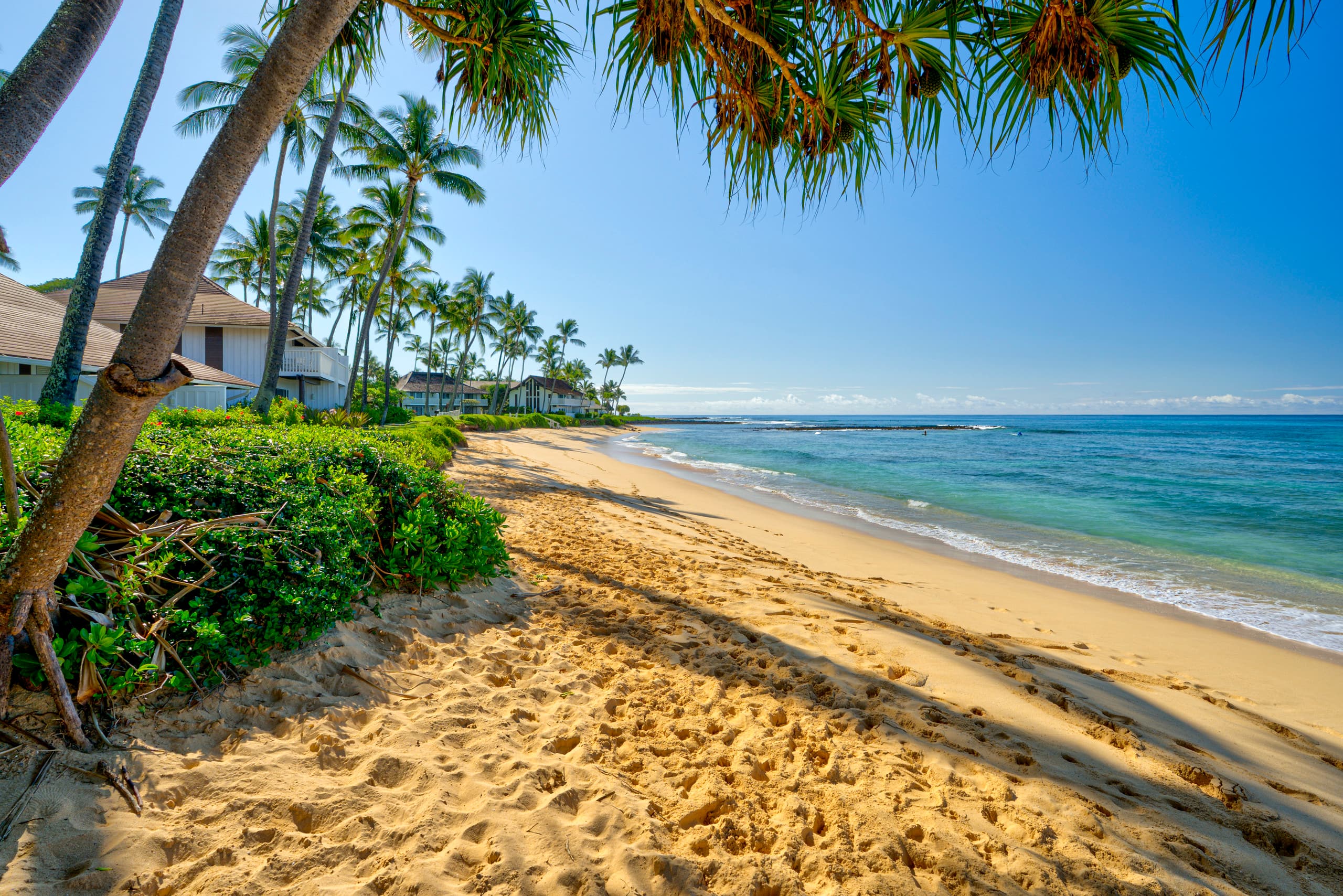 Tropical Paradise, Ocean views, Kiahuna - Photo 52