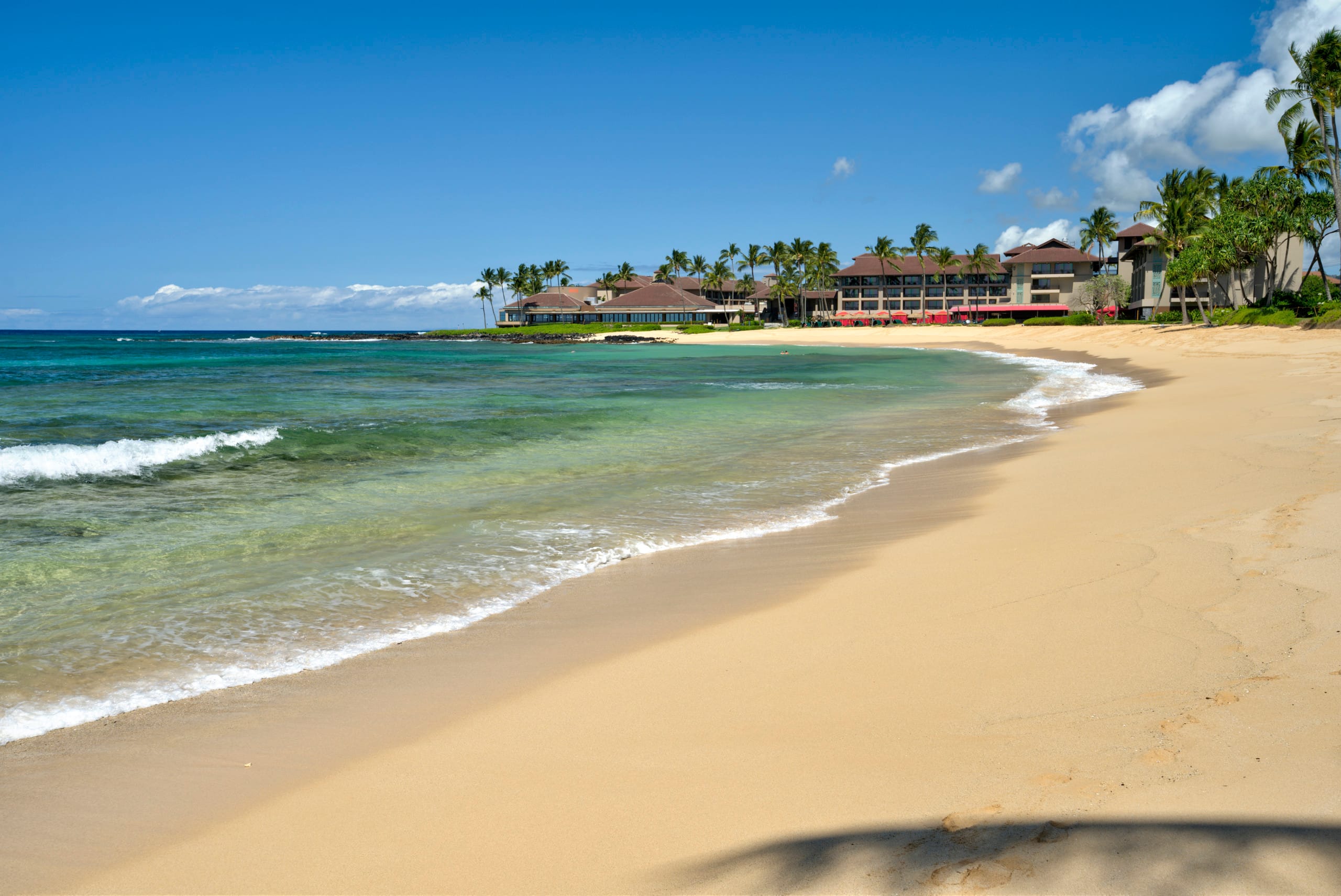Tropical Paradise, Ocean views, Kiahuna - Photo 51