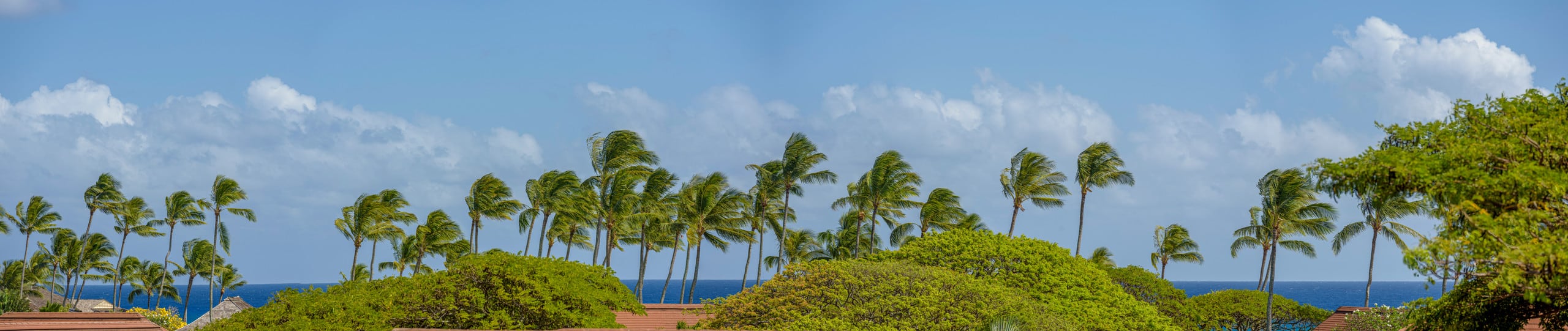 Tropical Paradise, Ocean views, Kiahuna - Photo 35
