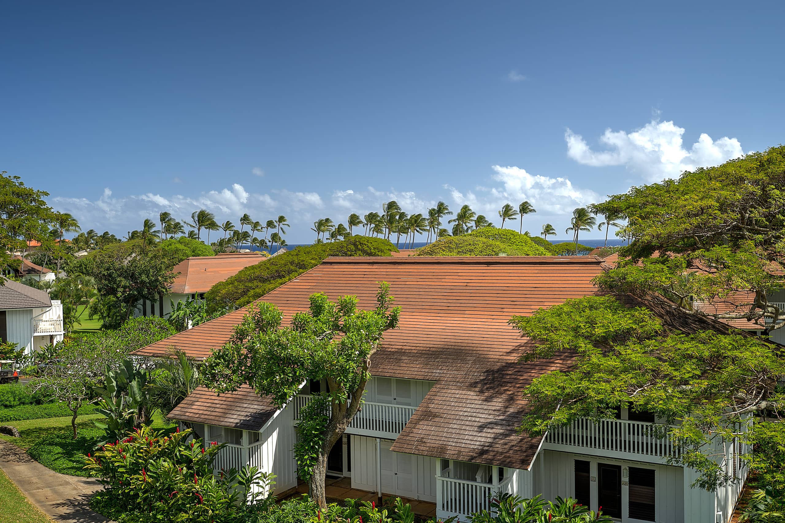 Tropical Paradise, Ocean views, Kiahuna - Photo 46