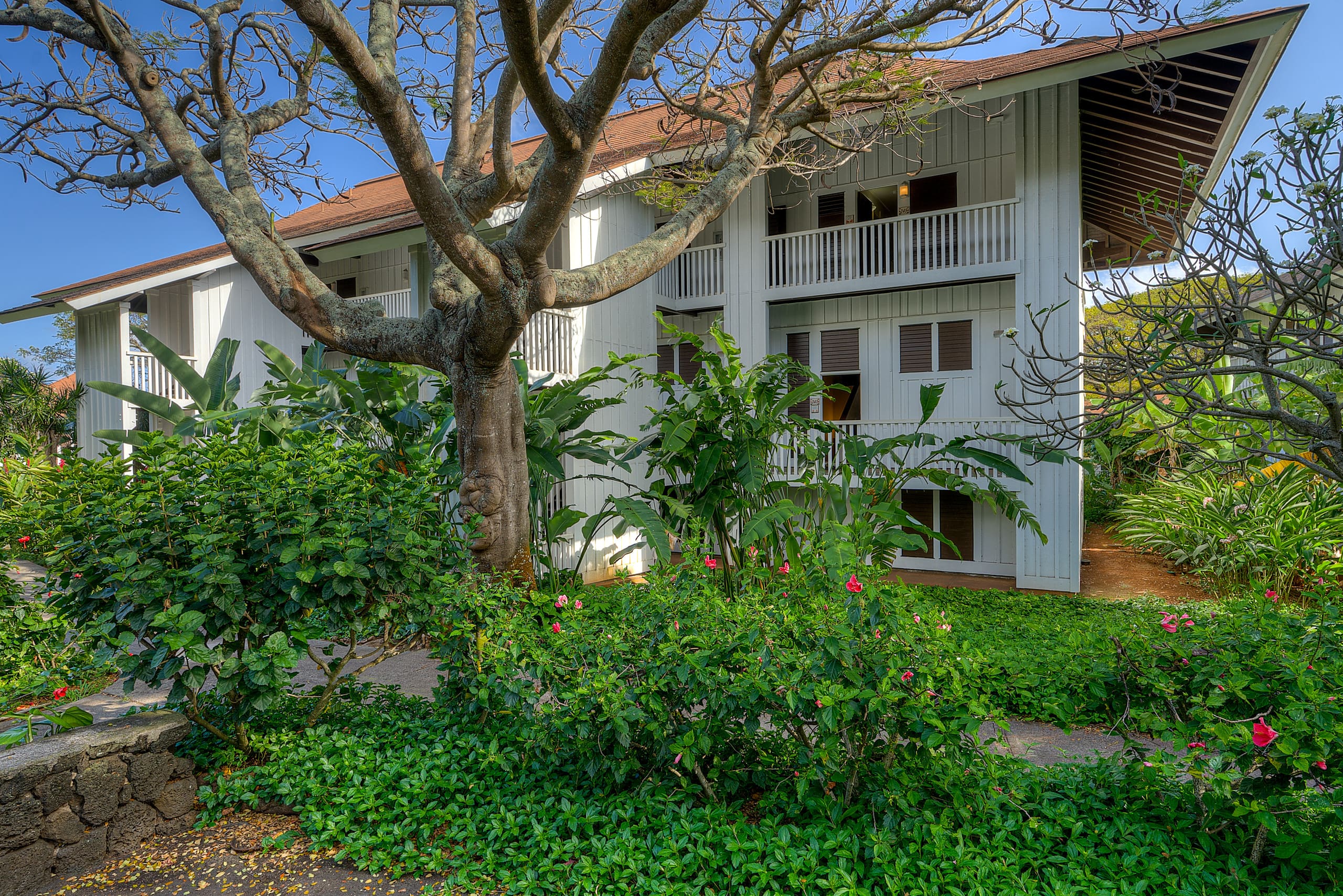 Tropical Paradise, Ocean views, Kiahuna - Photo 45