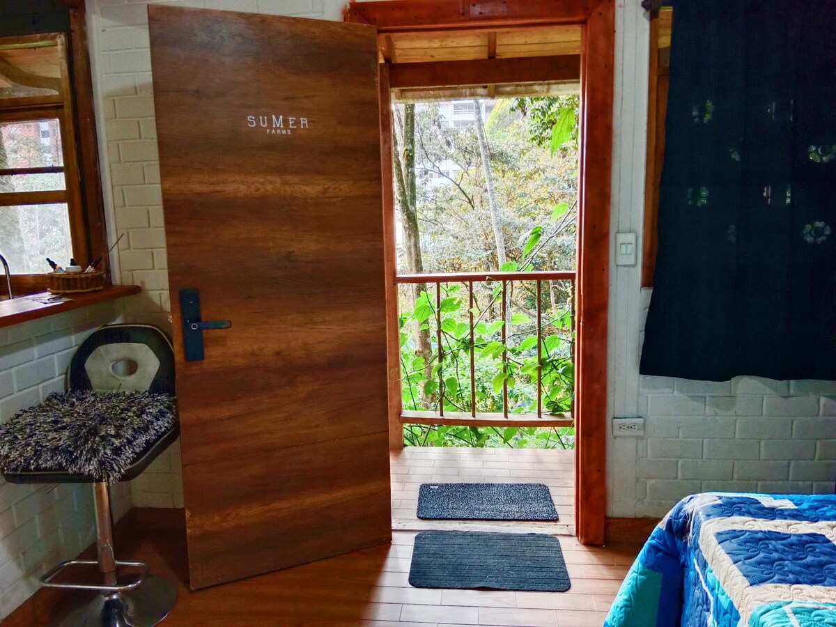 A wooden entry door labeled 'SUMER' opens to a serene view of lush greenery. Two welcome mats are positioned on a wooden floor, and a bar stool is visible beside the door, providing a cozy spot to enjoy the natural surroundings.