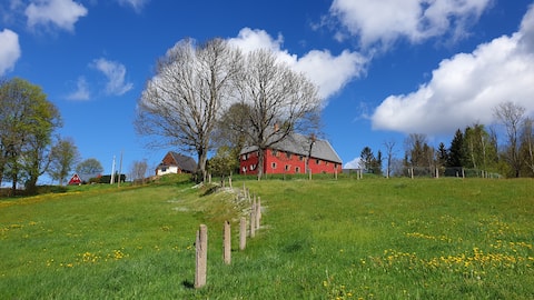 Holiday home & seminar room on the edge of the forest in the Ore Mountains