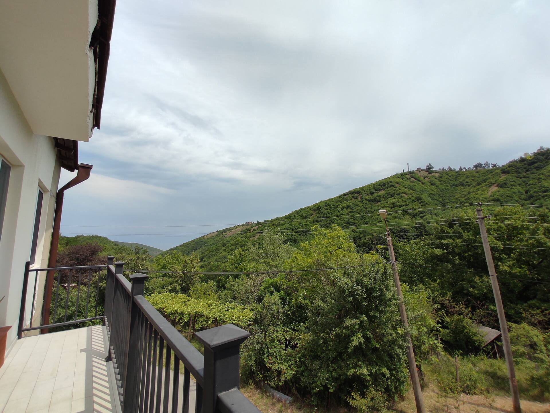 The nature — Foto 2