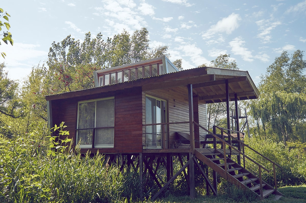 A wooden cabin is elevated on stilts amidst lush greenery. Large windows provide natural light, while a covered porch extends outward, featuring steps leading down to the ground. Surrounding vegetation is rich and varied, contributing to the cabin's integration with the natural environment.
