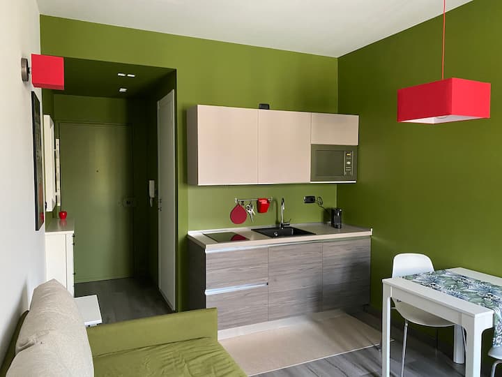 Lovely studio on the Po Apartments for Rent in Torino, Piemonte, Italy Airbnb