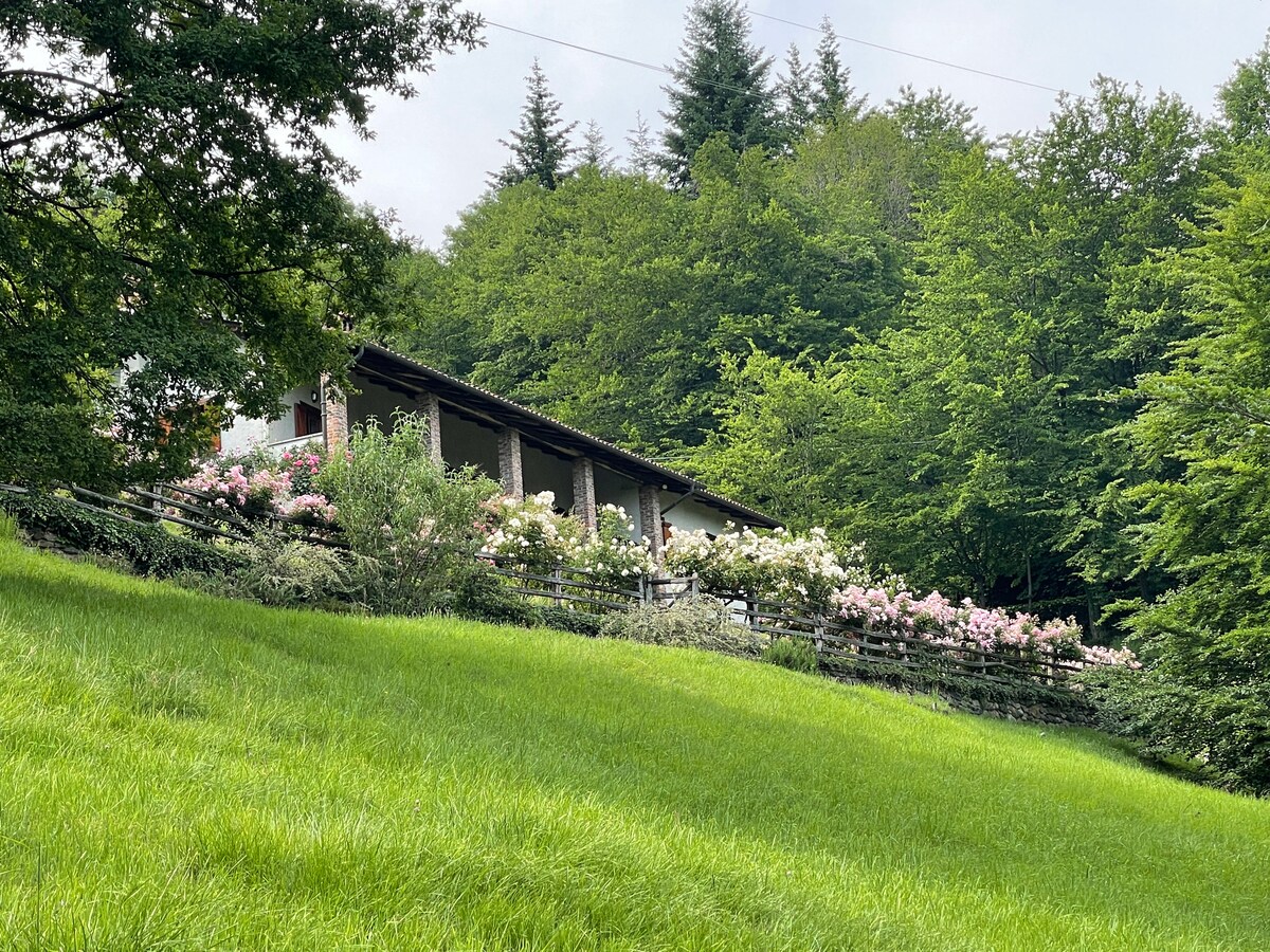 A charming structure is situated on a gently sloping green lawn, with a flower garden filled with various blooms in the foreground. Surrounding trees provide a lush backdrop, enhancing the serene atmosphere of the property.