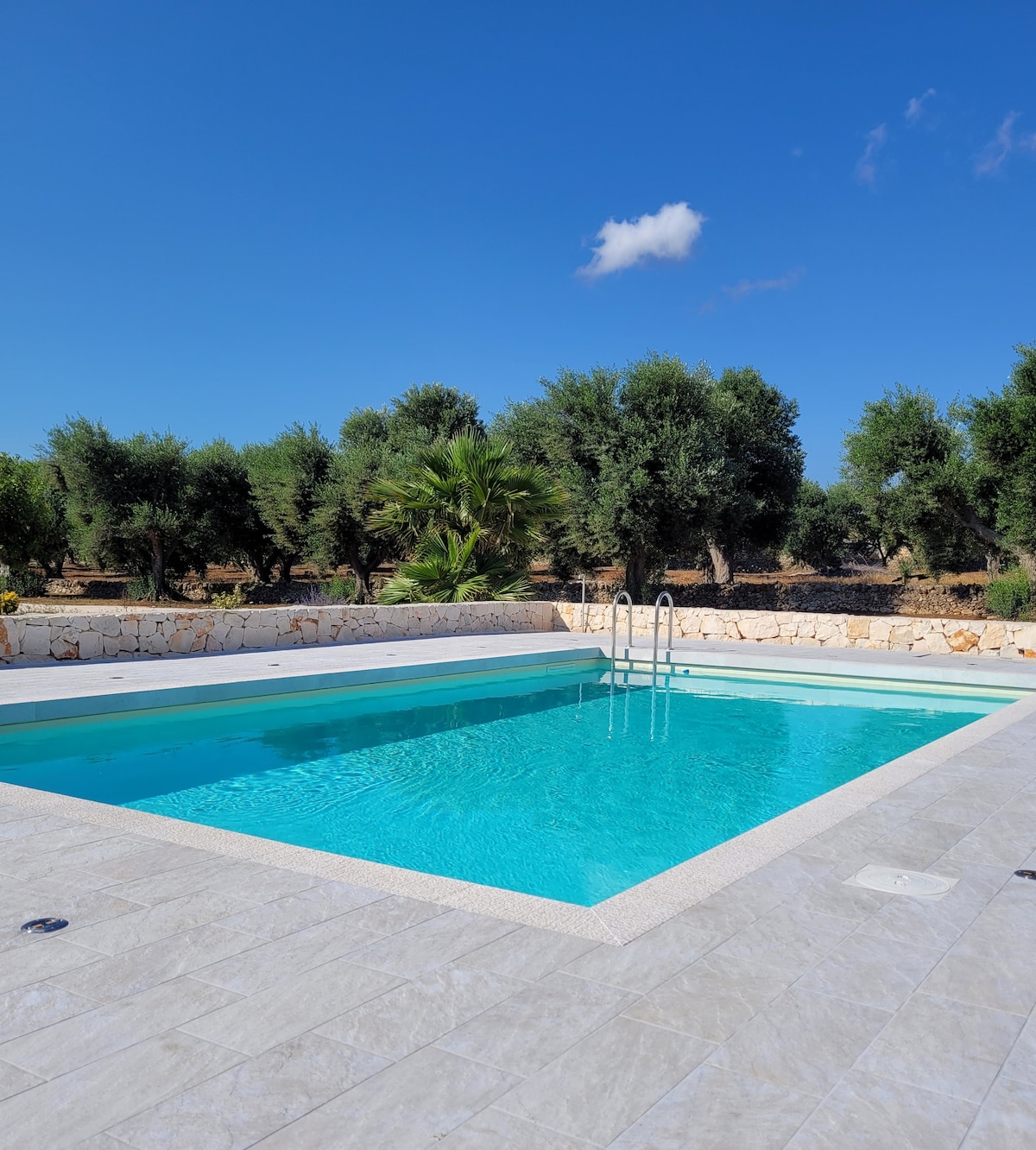 A private swimming pool is surrounded by a sunlit stone patio, featuring a light blue water surface. Lush olive trees and greenery provide a serene backdrop, contributing to the villa's tranquil outdoor space.