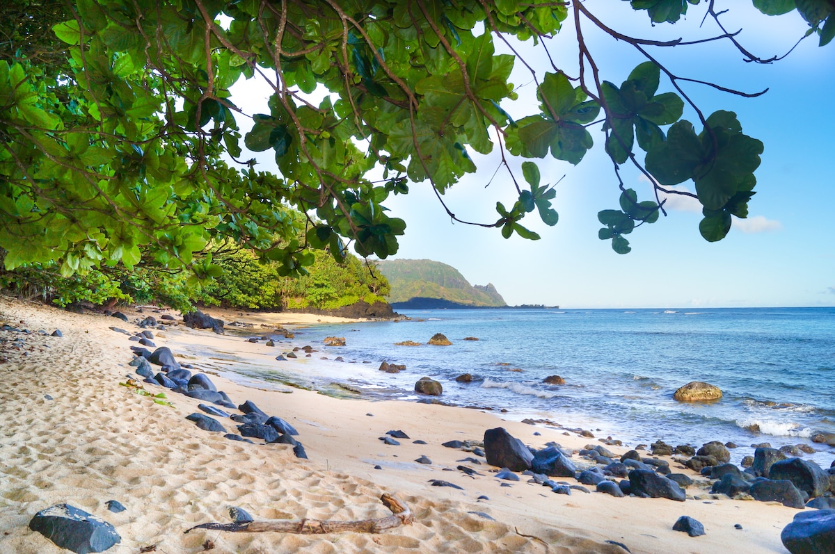 A tranquil beach scene features soft sand leading to gentle waves lapping at the shore. Varied rocky formations create a natural border along the water's edge, while lush green foliage frames the image, enhancing the serene coastal environment and distant mountains are visible in the background.