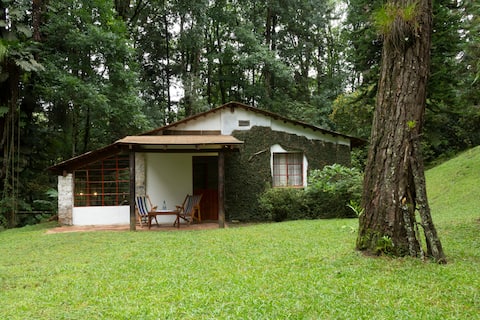 FINCA MARÍA HELENA #5