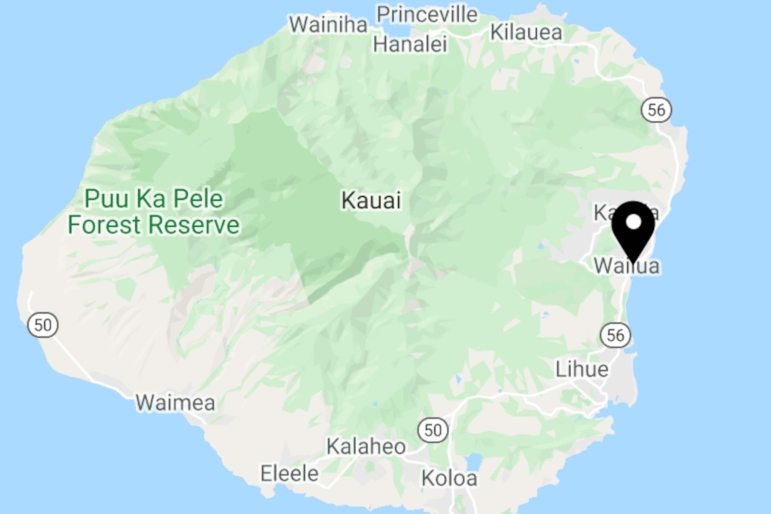 Condo in Kapaa · ★4.93 · 1 bedroom · 2 beds · 1 bath - Image 51
