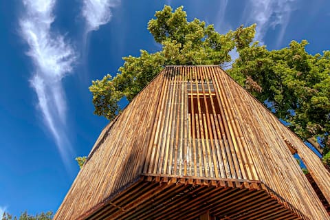 The Treehouse of Borgo Stazione Salionze