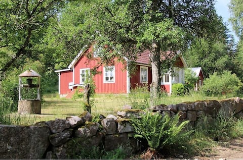 Cabin close to nature with forest in the garden