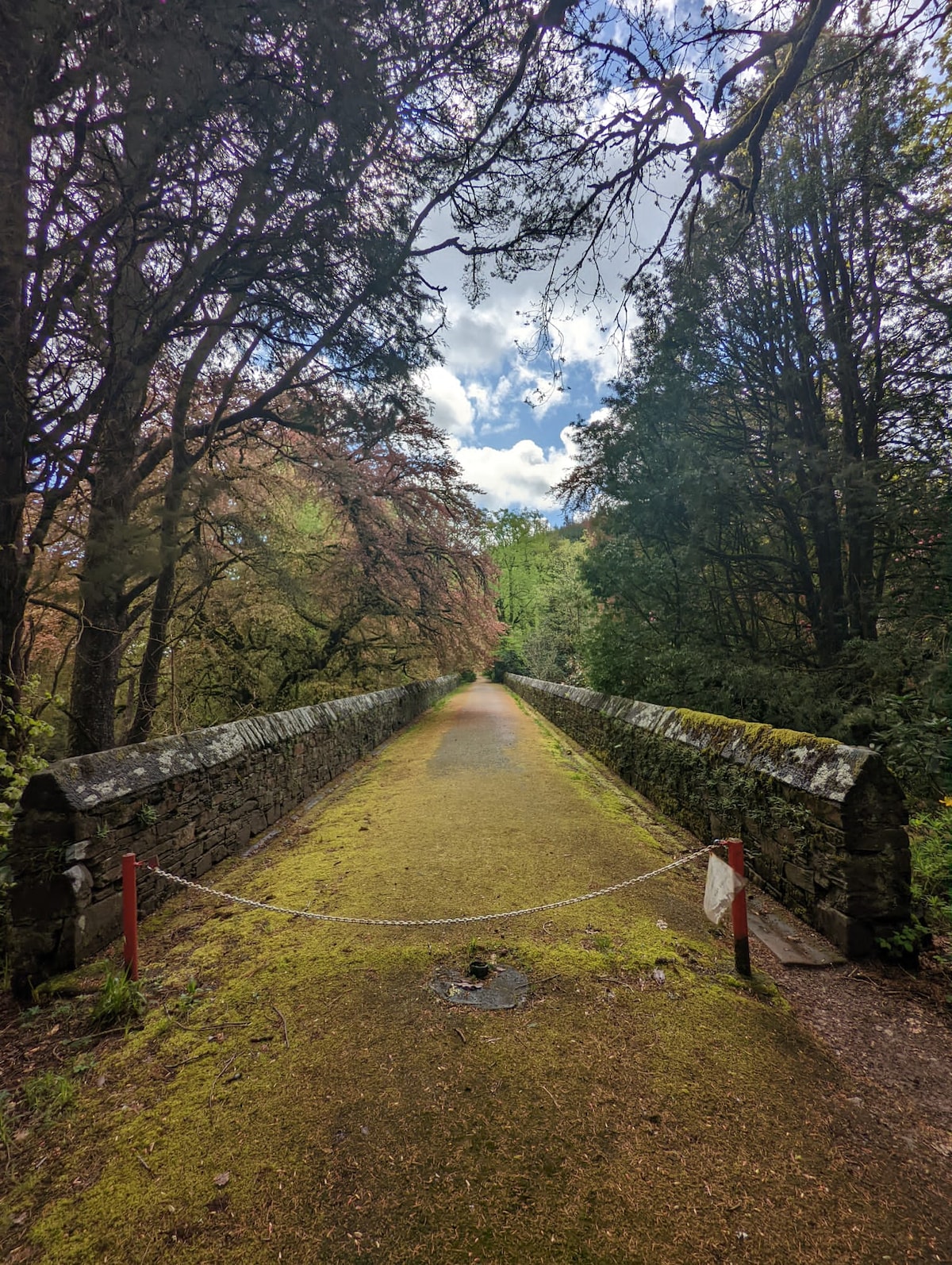 A moss-covered pathway is framed by lush trees on either side, leading toward a distant green landscape. Soft light filters through the branches, illuminating the serene surroundings. A low stone wall runs alongside the path, enhancing the natural beauty of the area.