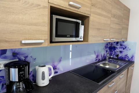 Top Airbnb: Apartment Viktoria 1BR w/P, AC in Selo Pri Bledu
