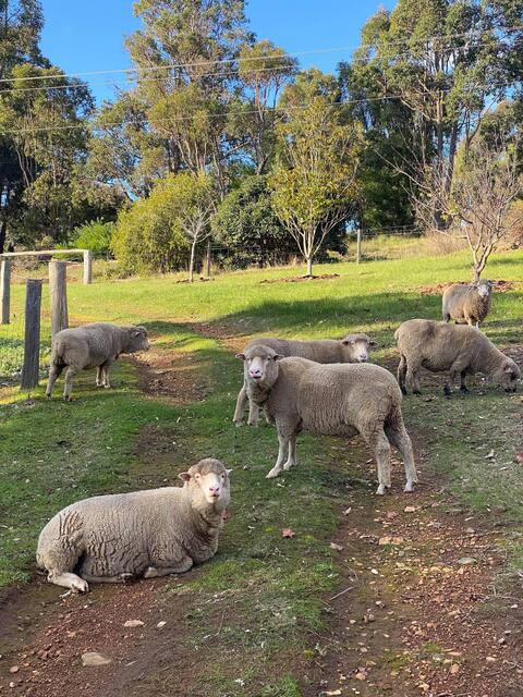 The Green Welly Farm stay