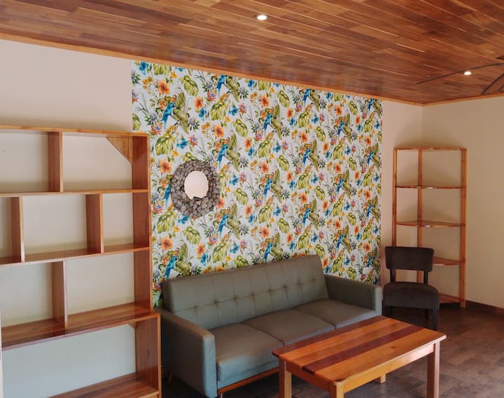 غرفة المعيشة (سرير الأريكة).