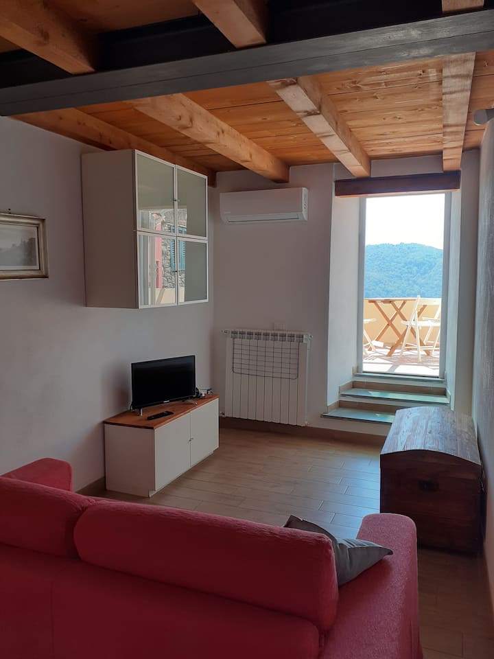 Living room with a single and a half sleeper sofa with terrace overlooking the sea and the Apuana Alps