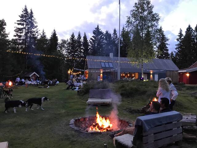 Perle i marka, 15 min fra sentrum gallery image 2