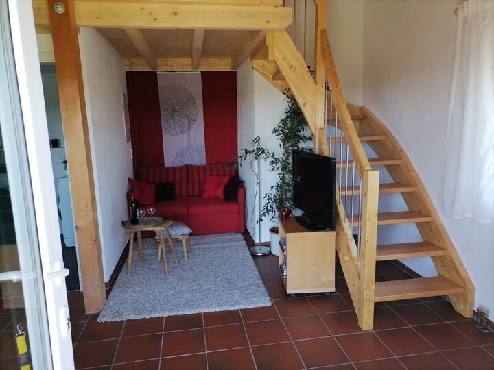 Neue Wohnung Mit Grandiosem Panoramablick - Ravensburg