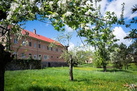 Sonnhild farm