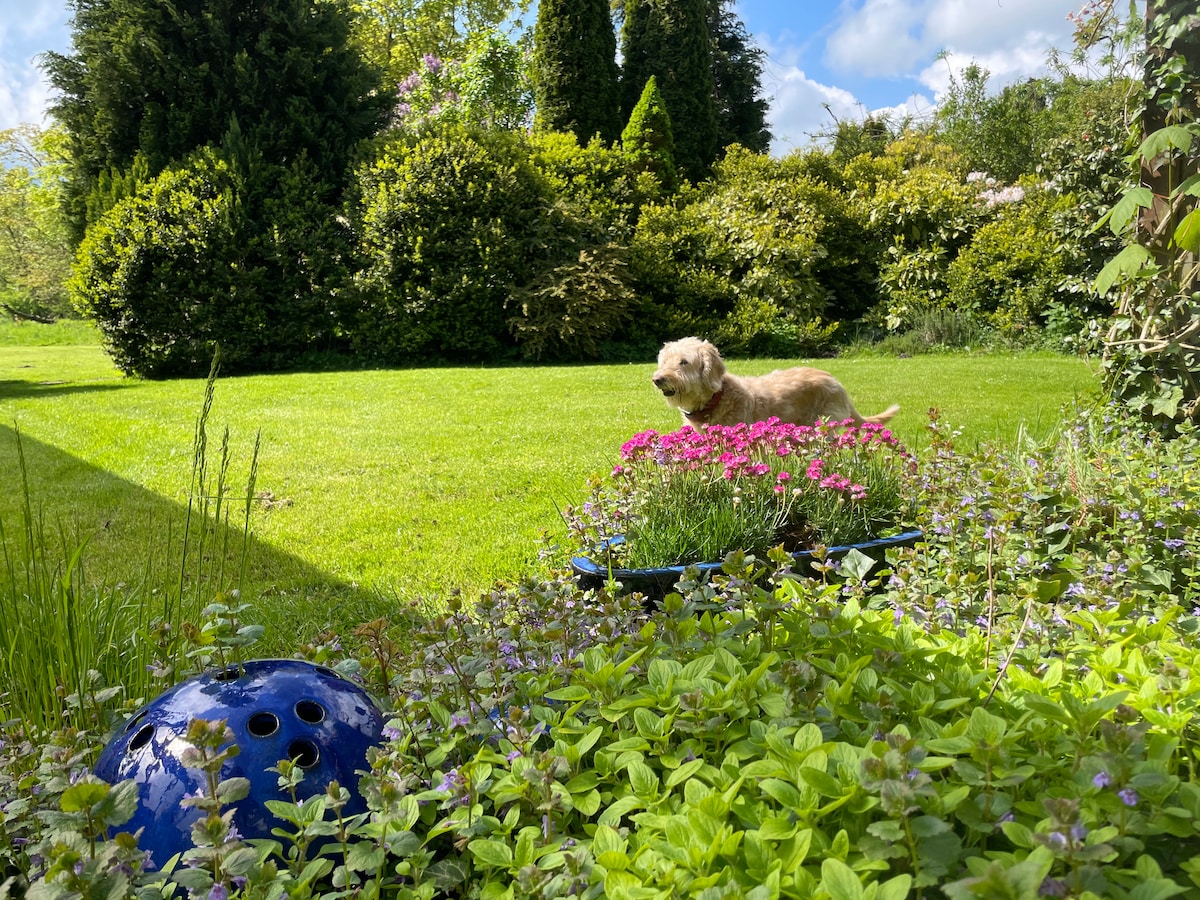 A well-maintained garden features lush green grass surrounded by flowering plants and shrubs. A small blue garden ornament sits among the foliage. A friendly dog is seen in the distance, enjoying the serene outdoor environment.