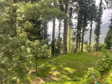 Larkspurs, Dunga Gali -Furnished Studio Apartment