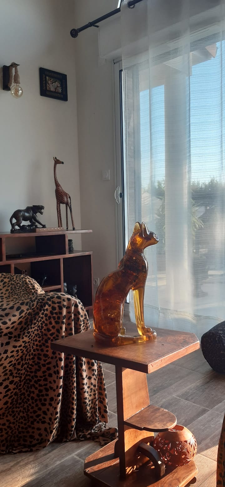 Gatto intrigante di fronte al panorama!