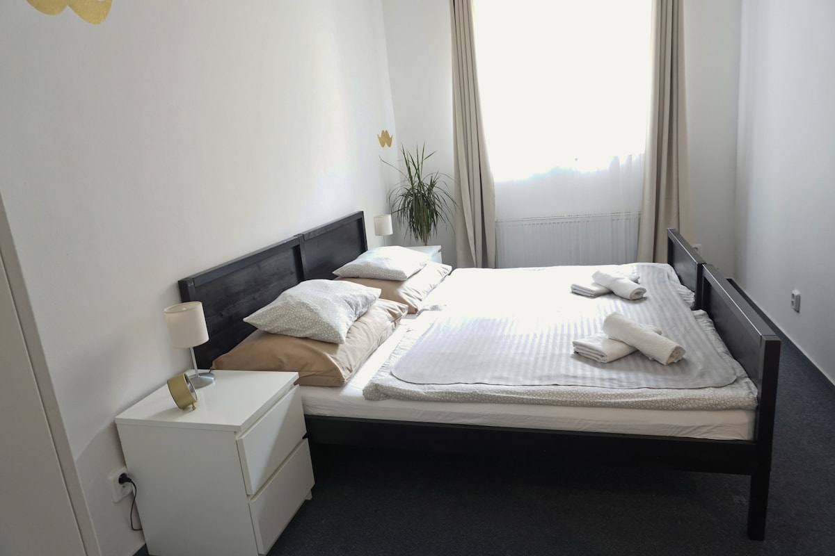 A spacious sleeping area features a large bed with neutral bedding, complemented by two decorative pillows. Two light-colored lamps are positioned on bedside tables. Natural light filters through a large window, accompanied by light curtains, and a potted plant adds a touch of greenery.