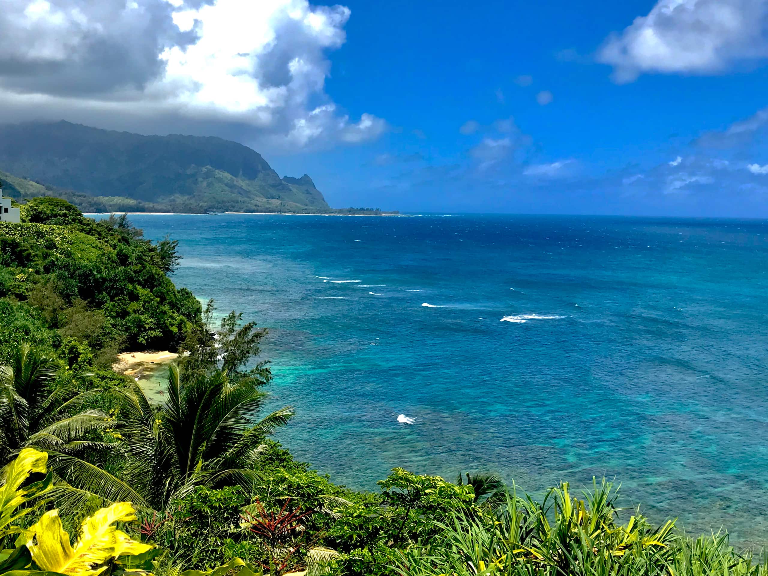 Tropical Escape | King Suite & Gear, North Shore - Photo 7