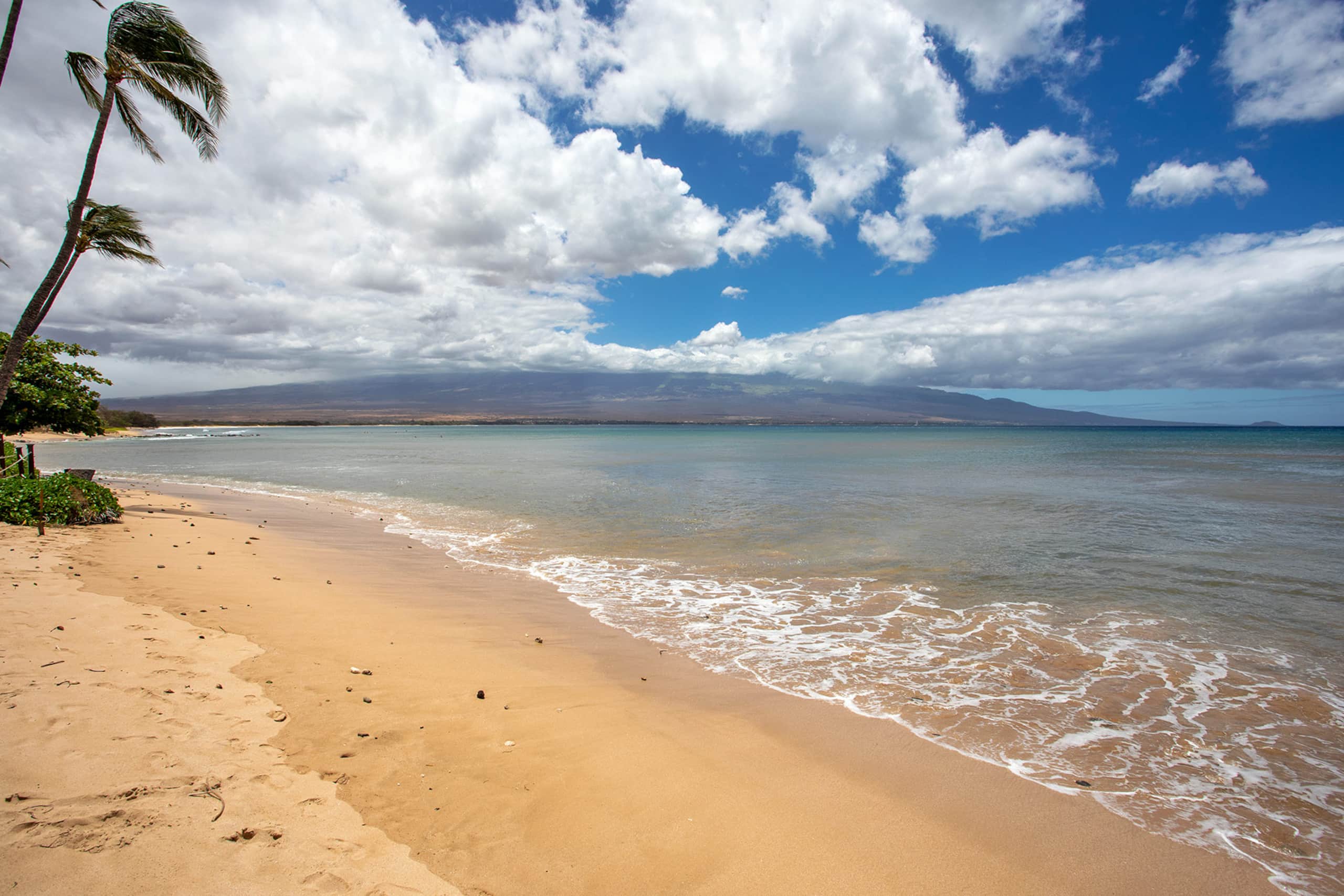 Condo in Wailuku · ★4.81 · 2 bedrooms · 4 beds · 2 private baths - Image 42