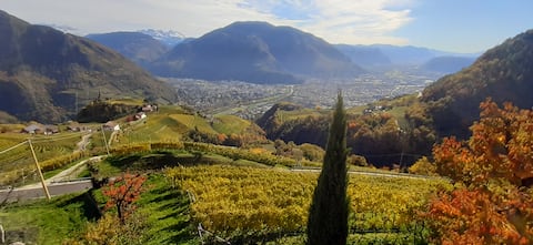 Popular Airbnb listing: Reiterhof apartment in Bolzano