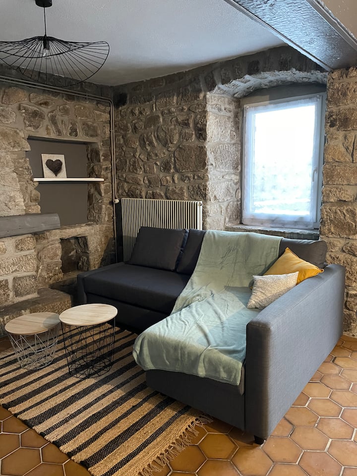 Location Saisonnière,
Appartement  Rez De Jardin - Le Chambon-sur-Lignon