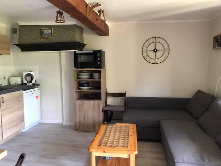 Appt Spacieux,  Pelvoux Vallouise Les Ecrins - Vallouise, Francia