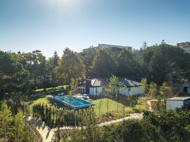 Porto_70’s wood house gallery image 4