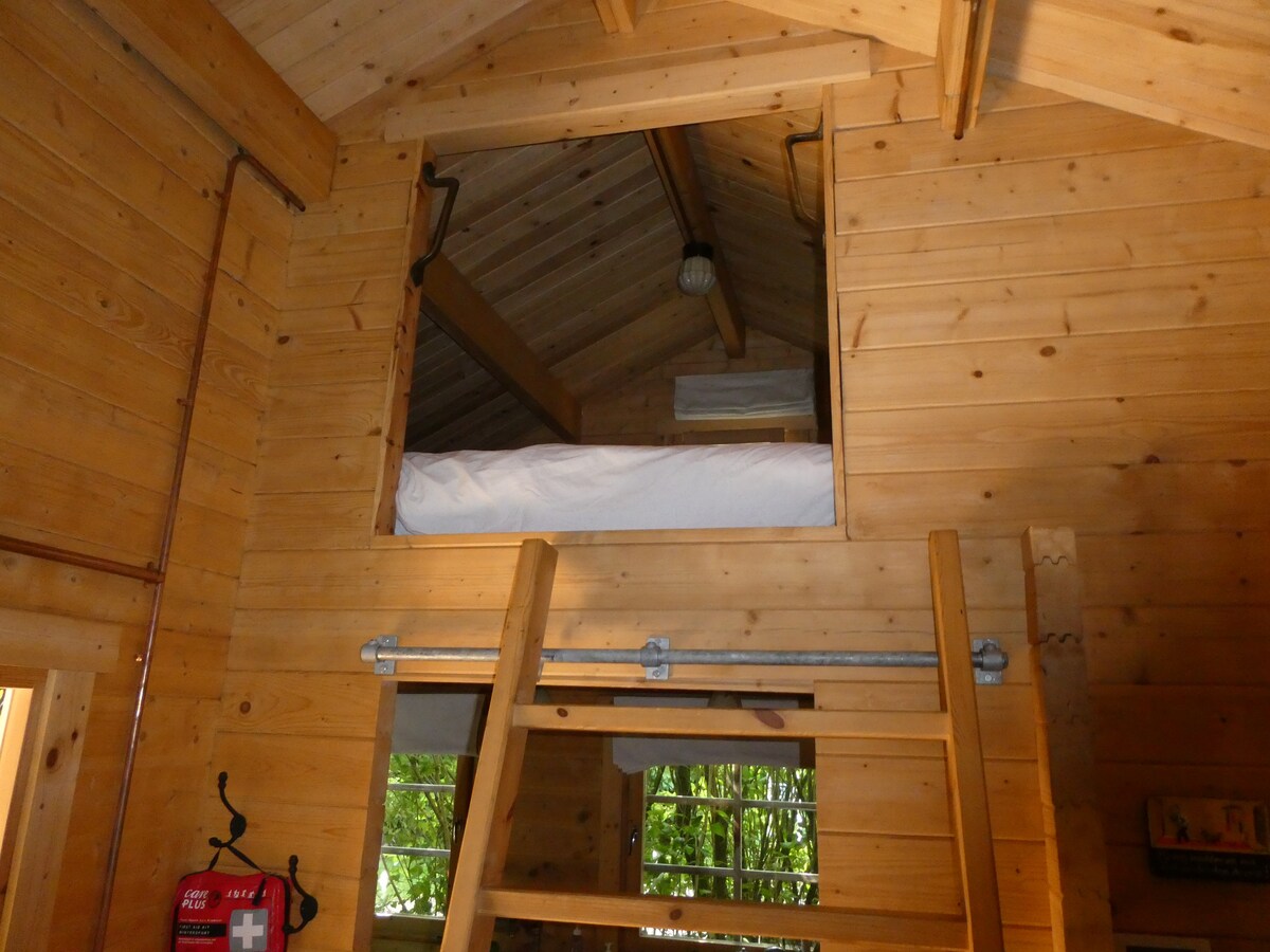 درج حاد إلى شقة النوم العلوية