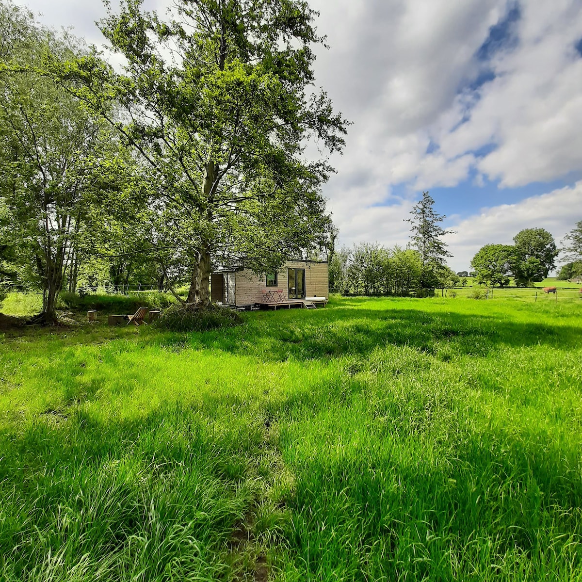 The tiny house is nestled among lush green fields, surrounded by trees under a partly cloudy sky. The vibrant grass sways gently, enhancing the serene countryside setting. A path leads to the dwelling, inviting visitors to explore this tranquil retreat.