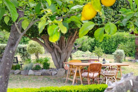 La Casa di Lina - private garden, Capo d'Orlando