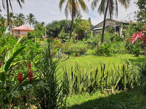 Beautiful house 100 m from the beach, Route de Bourda.
