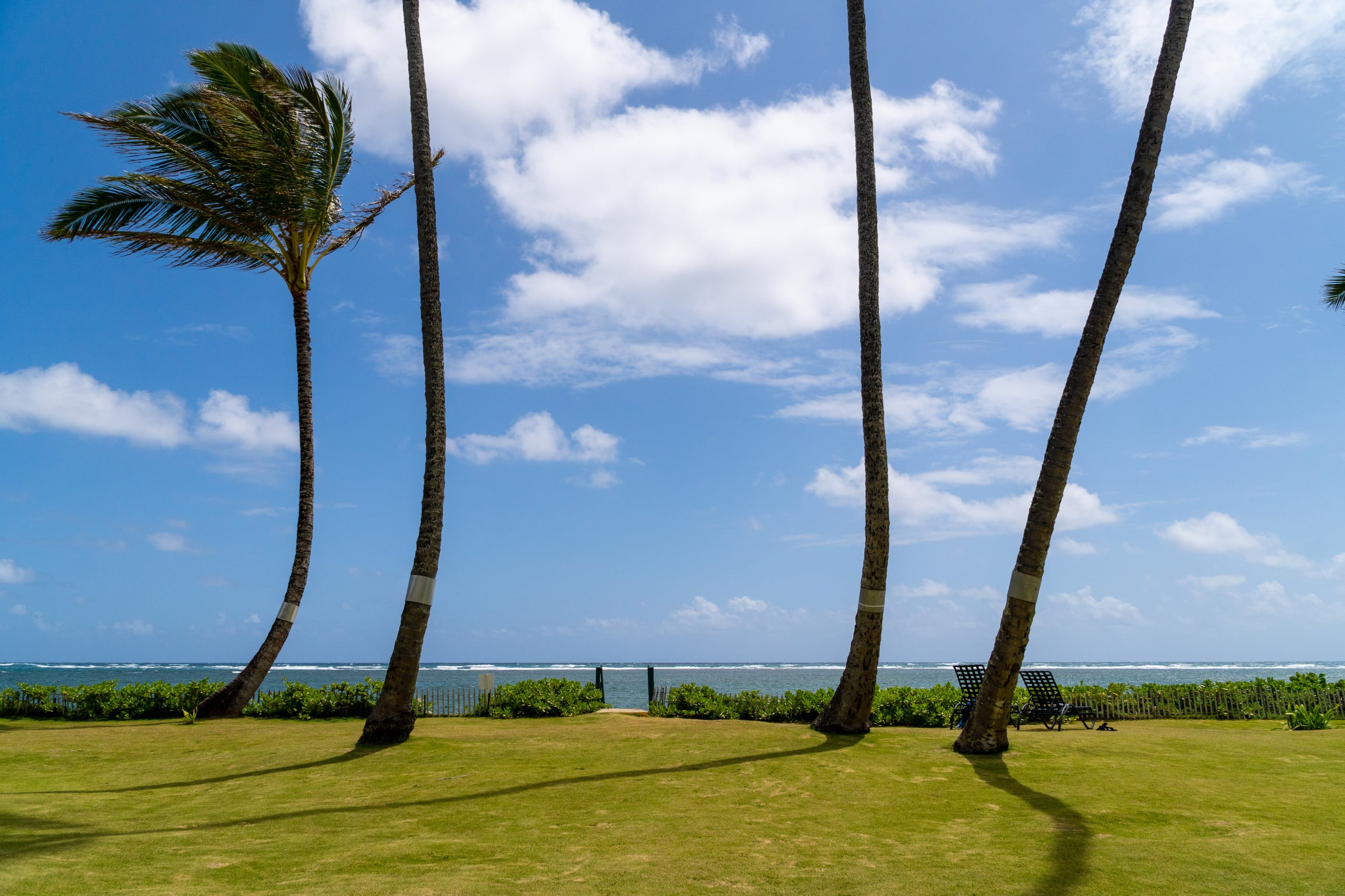 Condo in Hauula · ★4.81 · 1 bedroom · 2 beds · 1 private bath - Image 53