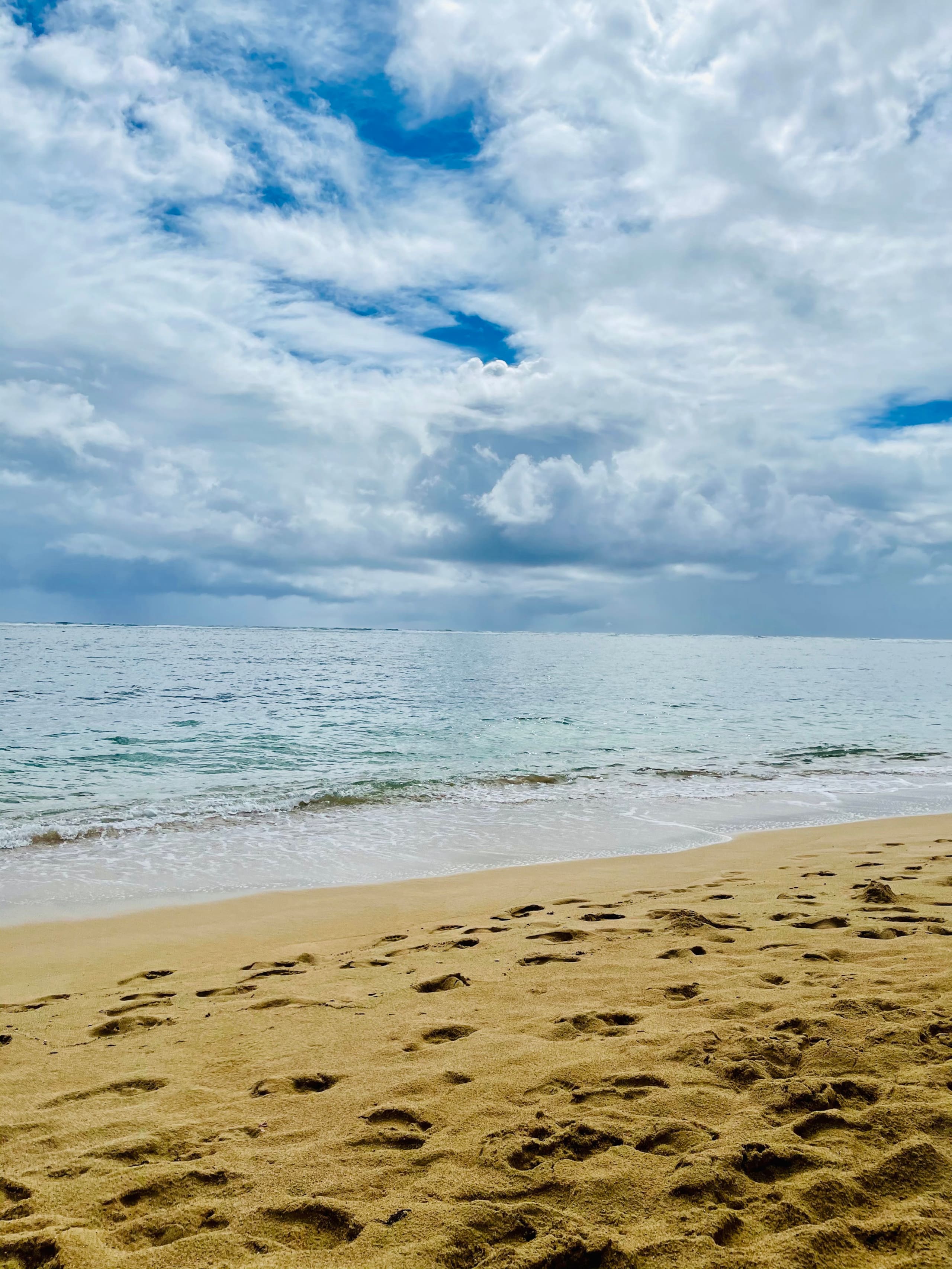 Condo in Hauula · ★4.81 · 1 bedroom · 2 beds · 1 private bath - Image 61