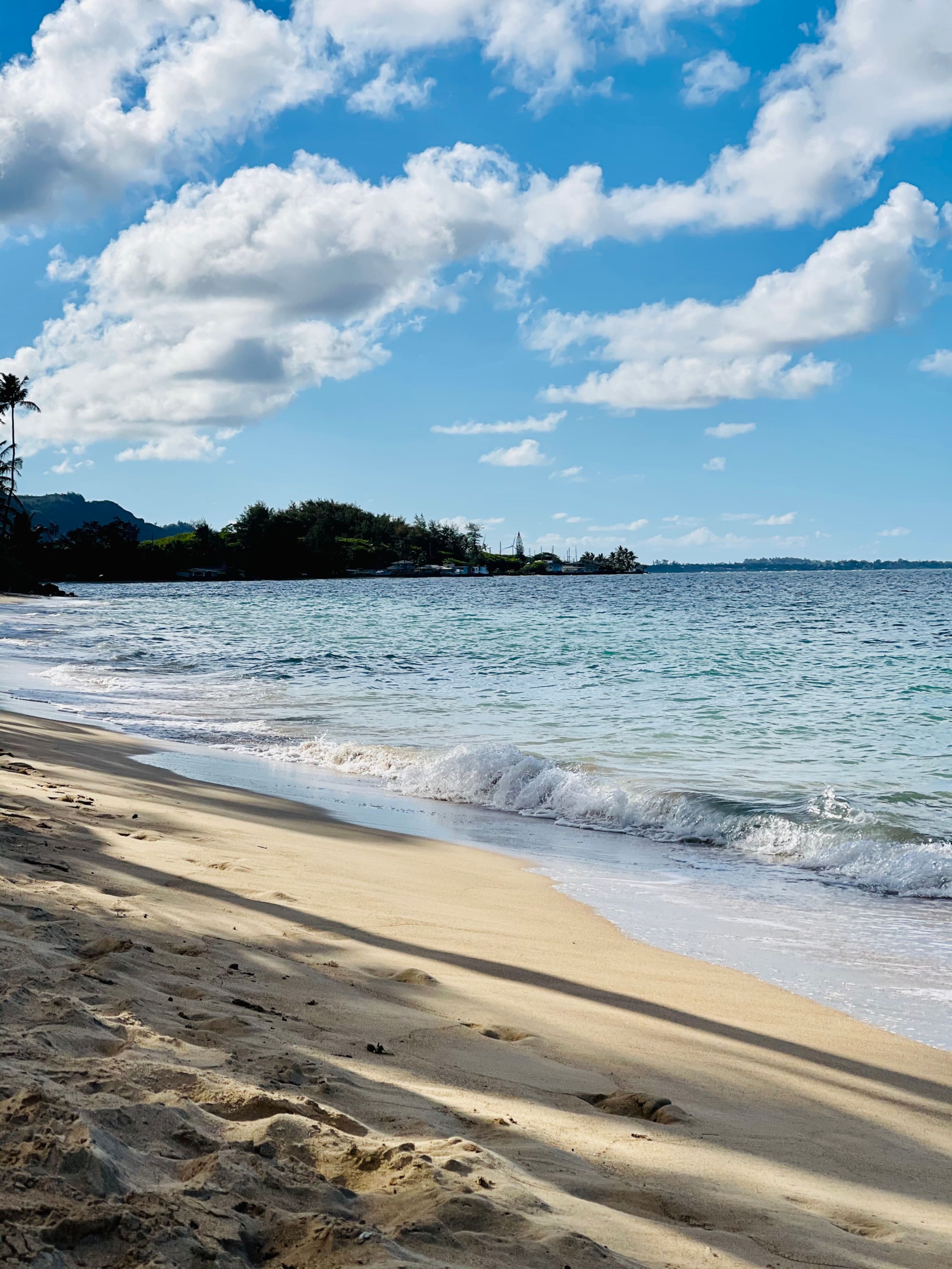 Condo in Hauula · ★4.81 · 1 bedroom · 2 beds · 1 private bath - Image 60