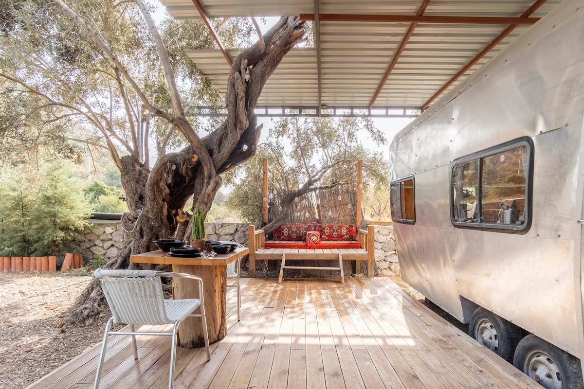 An outdoor seating area is presented with a rustic wooden table alongside a white chair. A cozy bench with vibrant cushions is set against a backdrop of natural foliage. The scene is partially shaded by a metal awning, creating a comfortable space to relax.