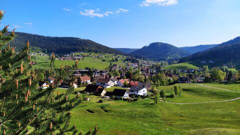 Apartment+sauna+Black Forest guest card for free!