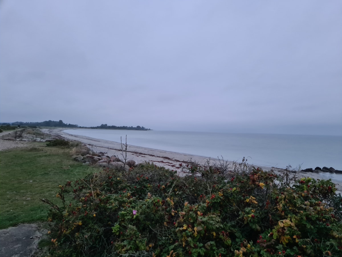 A tranquil beach scene is depicted, featuring a calm stretch of shoreline meeting the water. Sparse vegetation and rocky formations border the beach, while a cloudy sky casts a soft light over the serene landscape. The atmosphere of the location suggests a peaceful retreat.