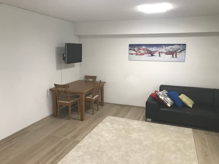 Large Private Room (29m2) In Nice & Calm House - Nyon