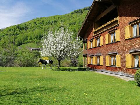 Two apartments with 250m2 of living space for 14 people