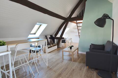 Nice renovated F2, fully equipped