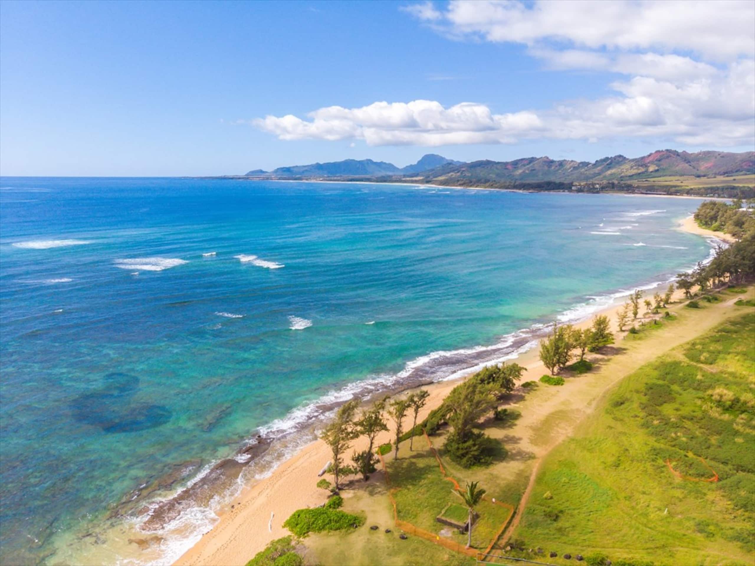 Stylish Kauai Condo on the Beach - Photo 39